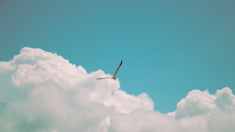 Empowerment Zeigen Sie was in Ihnen steckt !